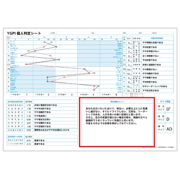 YGPI-WEB コメント評価オプション